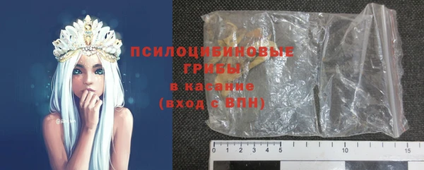 шишки Алексеевка