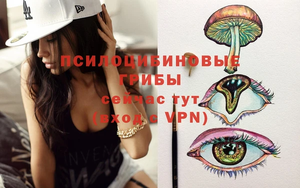 шишки Алексеевка