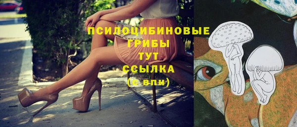 шишки Алексеевка