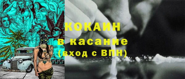 шишки Алексеевка