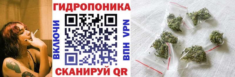 Шишки марихуана сатива  Дрезна 